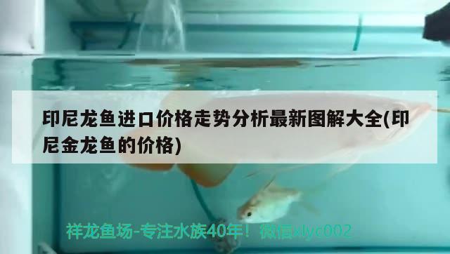 深圳龙鱼无人机有限公司招聘 深圳渔龙国际贸易有限公司
