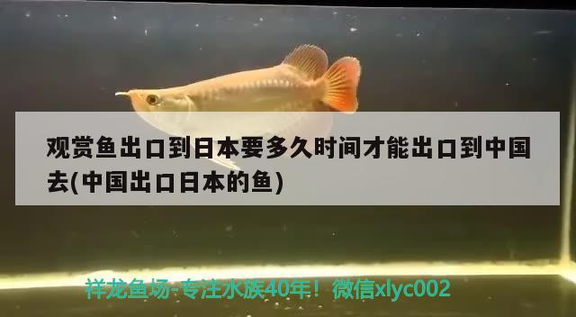 河虾 观赏鱼论坛 第2张