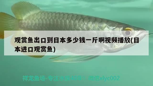 苏州哪里卖鱼缸好卖和徐州哪里卖鱼缸对应的相关信息，苏州哪里卖鱼缸好卖 鱼缸净水剂 第1张