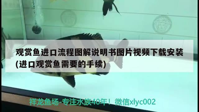 重庆佰瑞大药房有限公司 观赏鱼企业目录 第2张