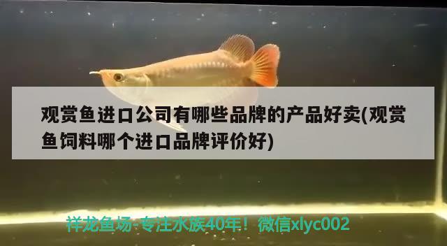 重庆佰瑞大药房有限公司 观赏鱼企业目录 第1张
