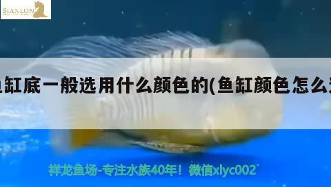 伊宁市博洋水族馆 观赏鱼企业目录 第1张