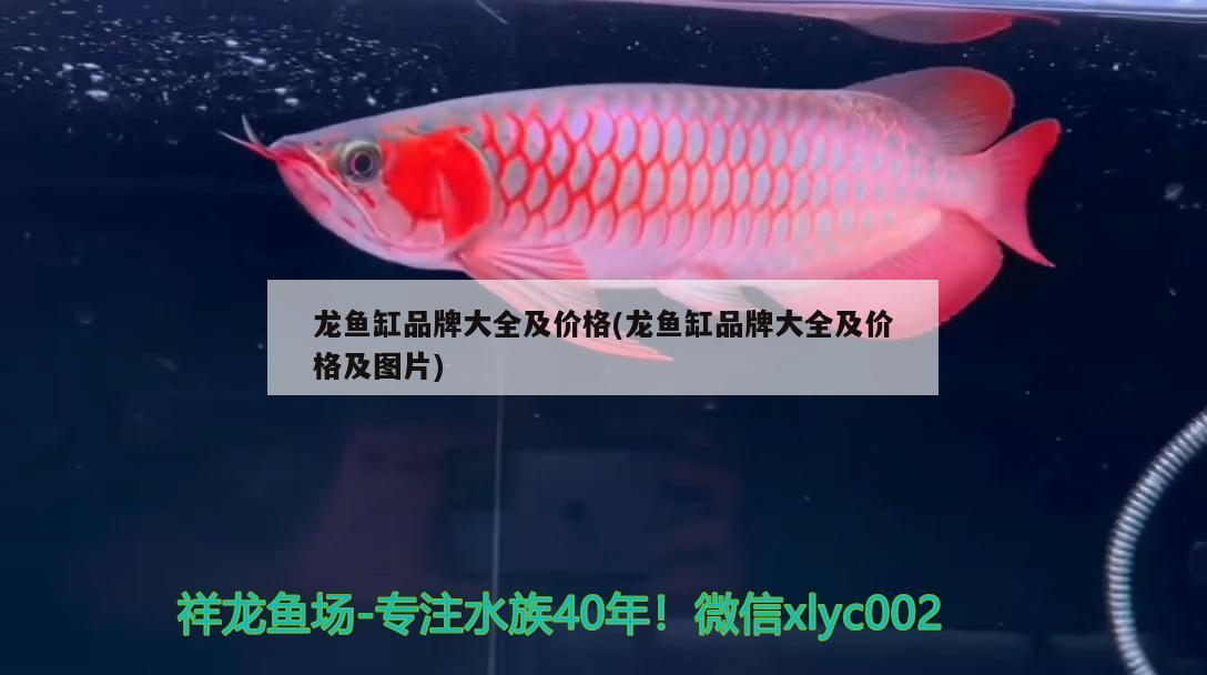 广州水族馆2年的混种很棒