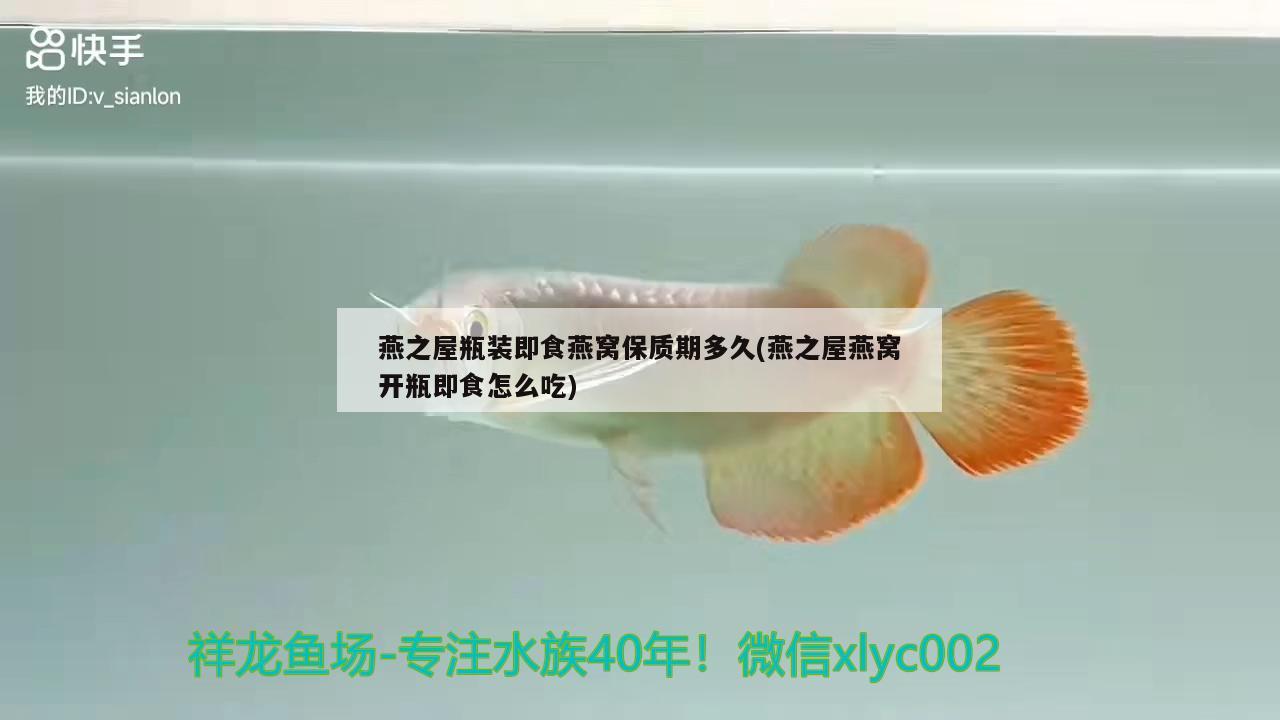 感谢北京渔经鱼药 帝王迷宫鱼 第4张