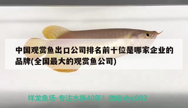 郑州哪里有卖鱼缸的地方啊电话 郑州哪里有卖鱼缸的地方啊电话号码 细线银版鱼 第2张