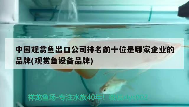 沈阳有回收旧鱼缸的吗电话地址查询：沈阳二手鱼缸低价出售 广州水族批发市场 第3张
