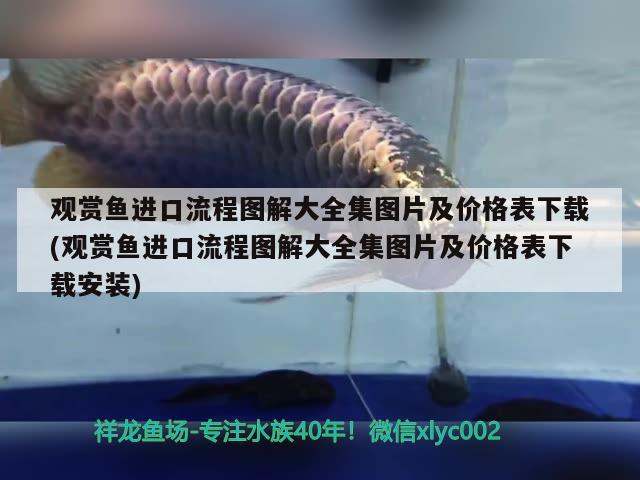 广州水族馆红龙鱼异常江湖救急