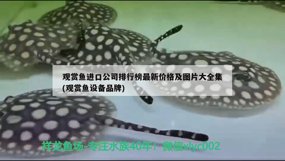 锦州水族馆打卡新的一天