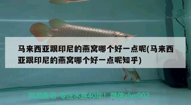 广州观赏鱼批发市场南平市食药监局抽检512批次食品5批次不合格