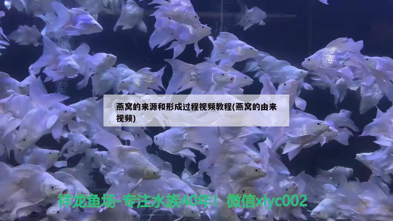 广州观赏鱼批发市场南平市食药监局抽检512批次食品5批次不合格