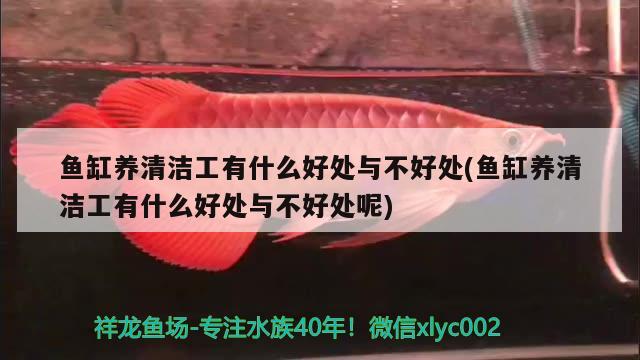天王鱼缸价格表：天王鱼缸使用说明