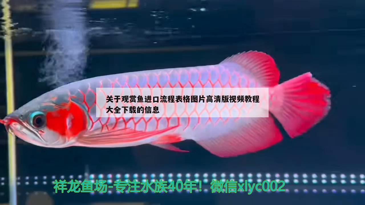 关于观赏鱼进口流程表格图片高清版视频教程大全下载的信息 观赏鱼进出口