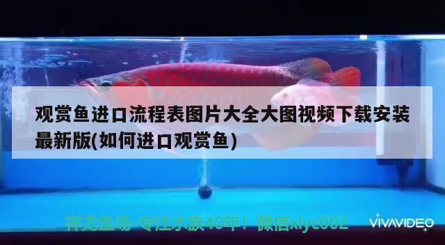 阿克苏市马桂英观赏鱼经销店 全国水族馆企业名录