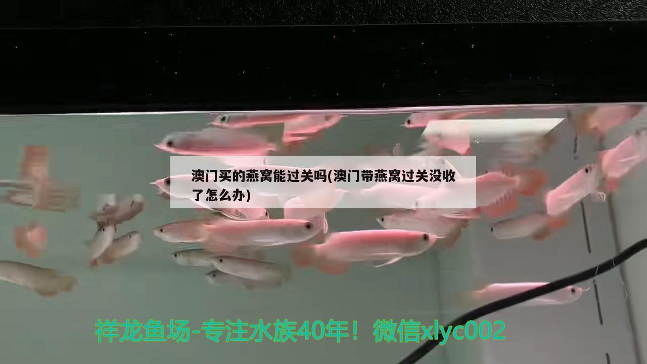 赣州观赏鱼 观赏鱼企业目录 第3张