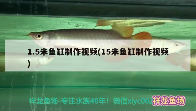 1.5米鱼缸制作视频(15米鱼缸制作视频) 祥龙蓝珀金龙鱼