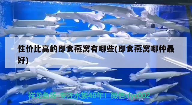 台湾水族批发市场地址在哪里呀多少钱 台湾鱼市场景