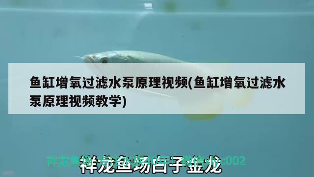 鱼缸增氧过滤水泵原理视频(鱼缸增氧过滤水泵原理视频教学)