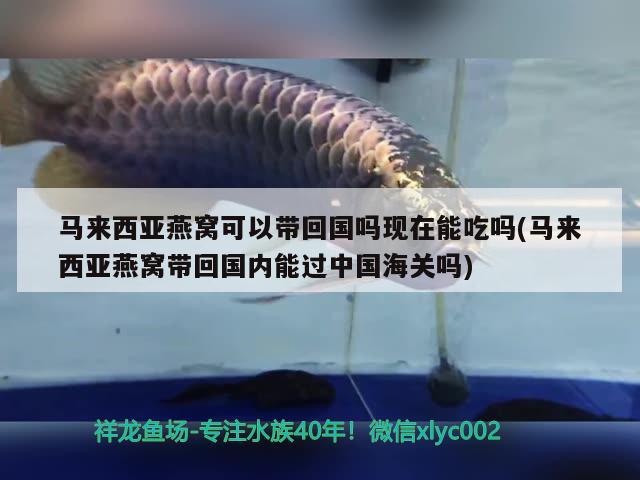 江津金龙鱼怎么样好吃吗视频教程：金龙鱼重庆
