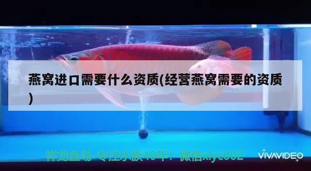 鱼缸过滤系统 图解：鱼缸过滤系统图解 安装 广州水族批发市场 第3张