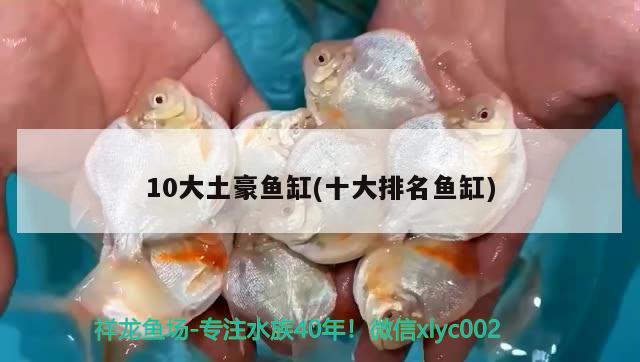 10大土豪鱼缸(十大排名鱼缸)