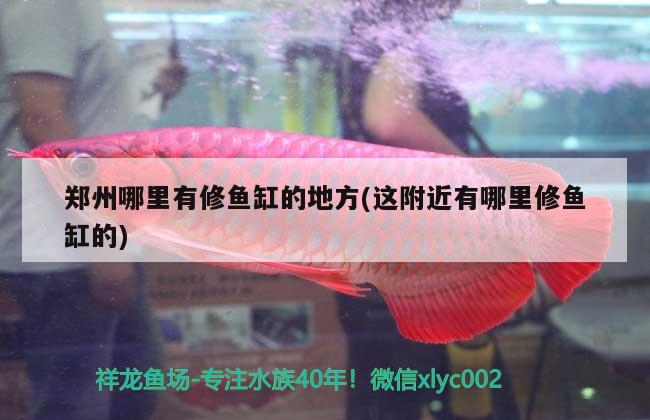 郑州哪里有修鱼缸的地方(这附近有哪里修鱼缸的) 杀菌消毒设备