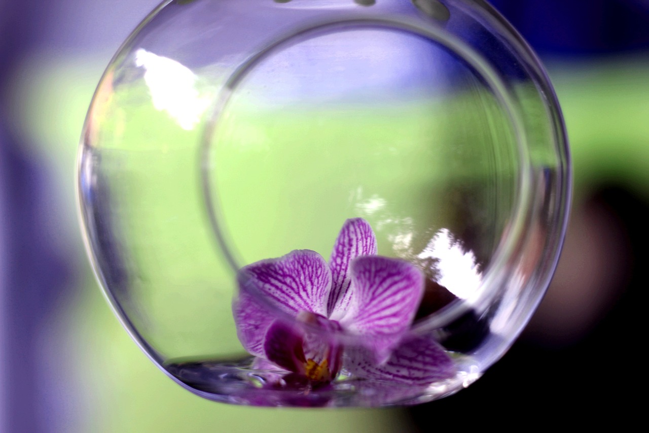 紫水晶碎石可以放在鱼缸里吗，