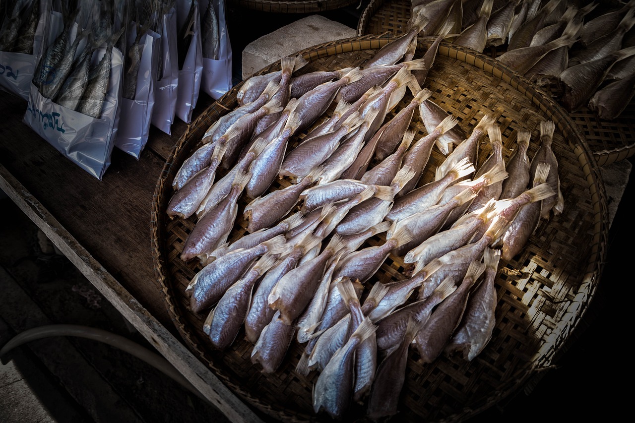 宿州观赏鱼市场大片