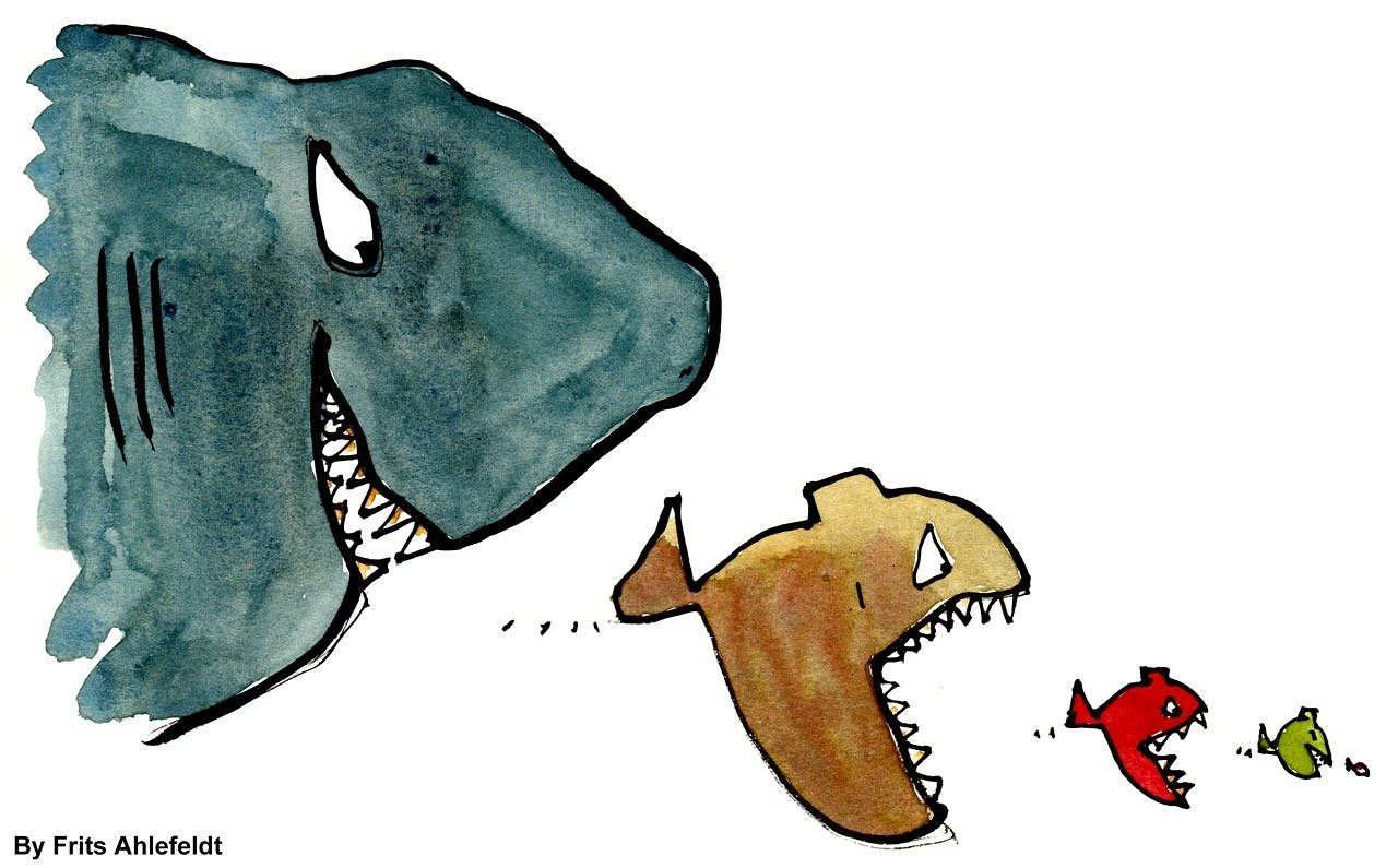 虎纹恐龙鱼不吃东西怎么办？如何解决虎纹恐龙鱼不吃东西的问题？ 金三间鱼 第1张