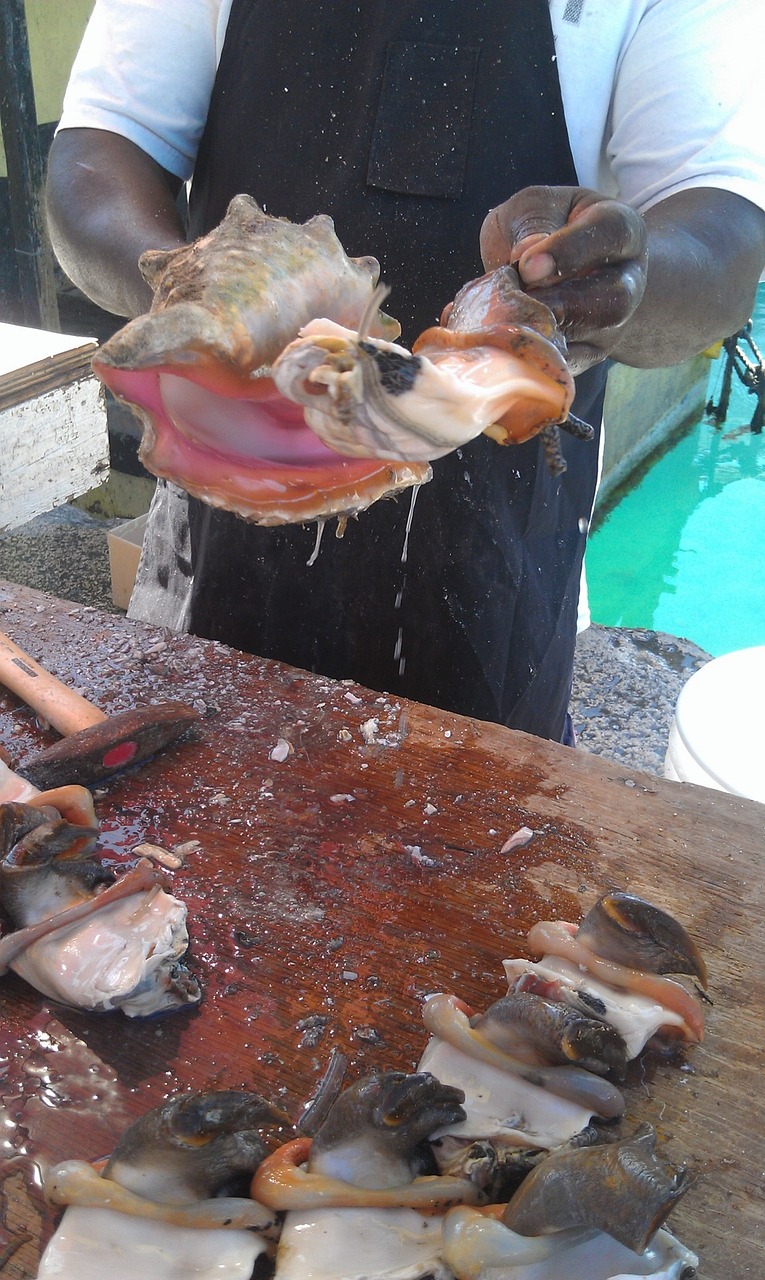热带鱼鱼苗批发 观赏鱼市场（混养鱼） 第2张
