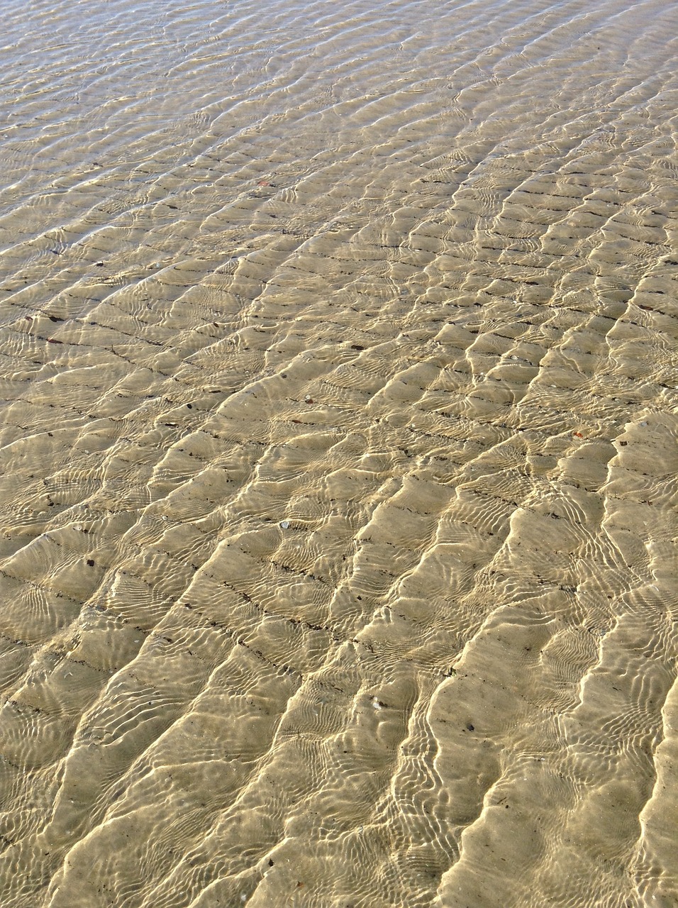 沙子鱼缸造景及沙子石头鱼缸造景图片沙子石头鱼缸造景图片