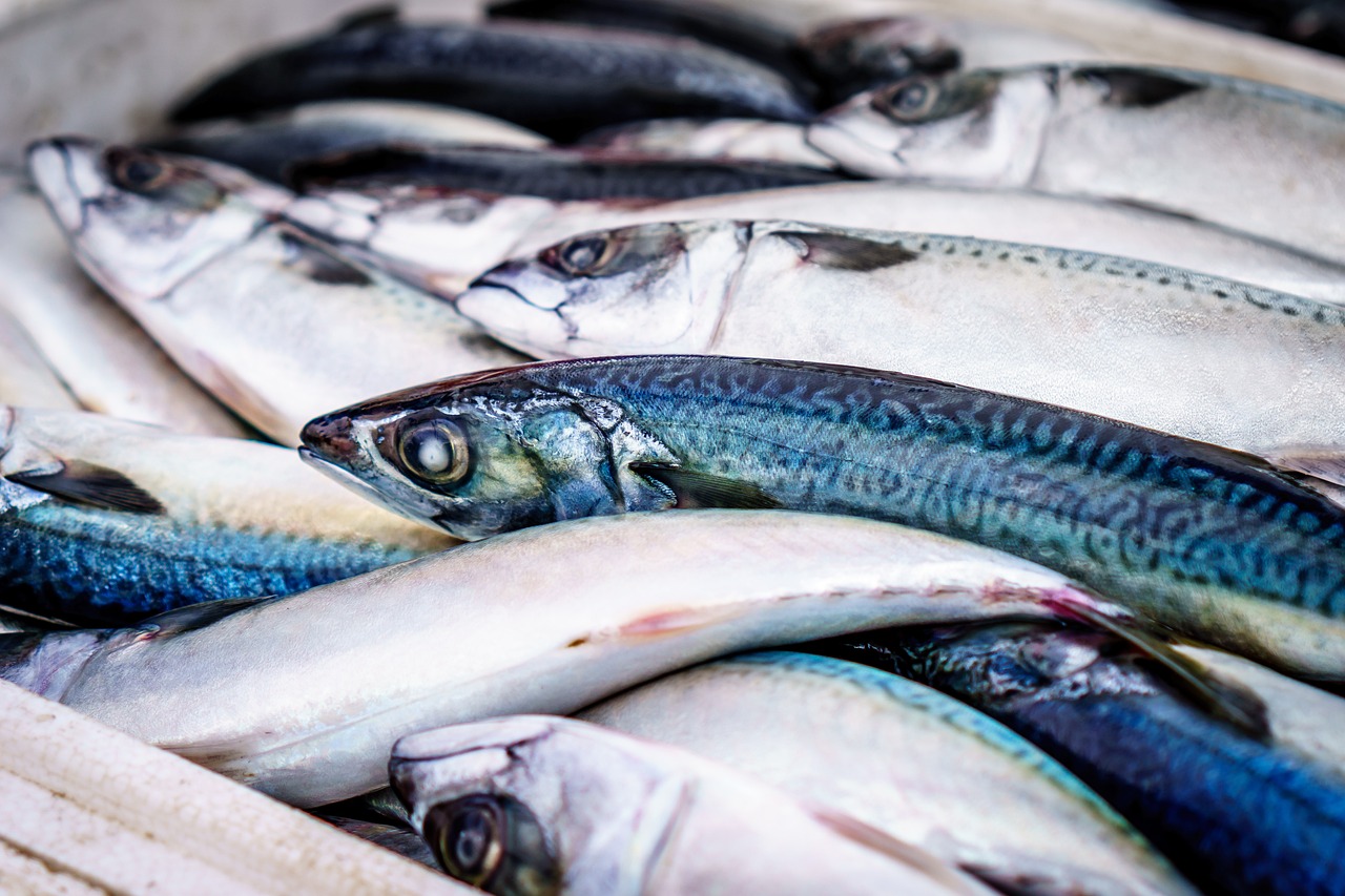 扬州观赏鱼市场换水事故发生了 观赏鱼市场（混养鱼） 第2张