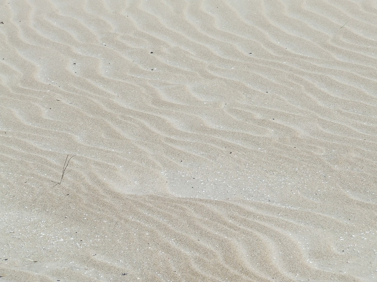 有沙子的鱼缸如何清理干净 