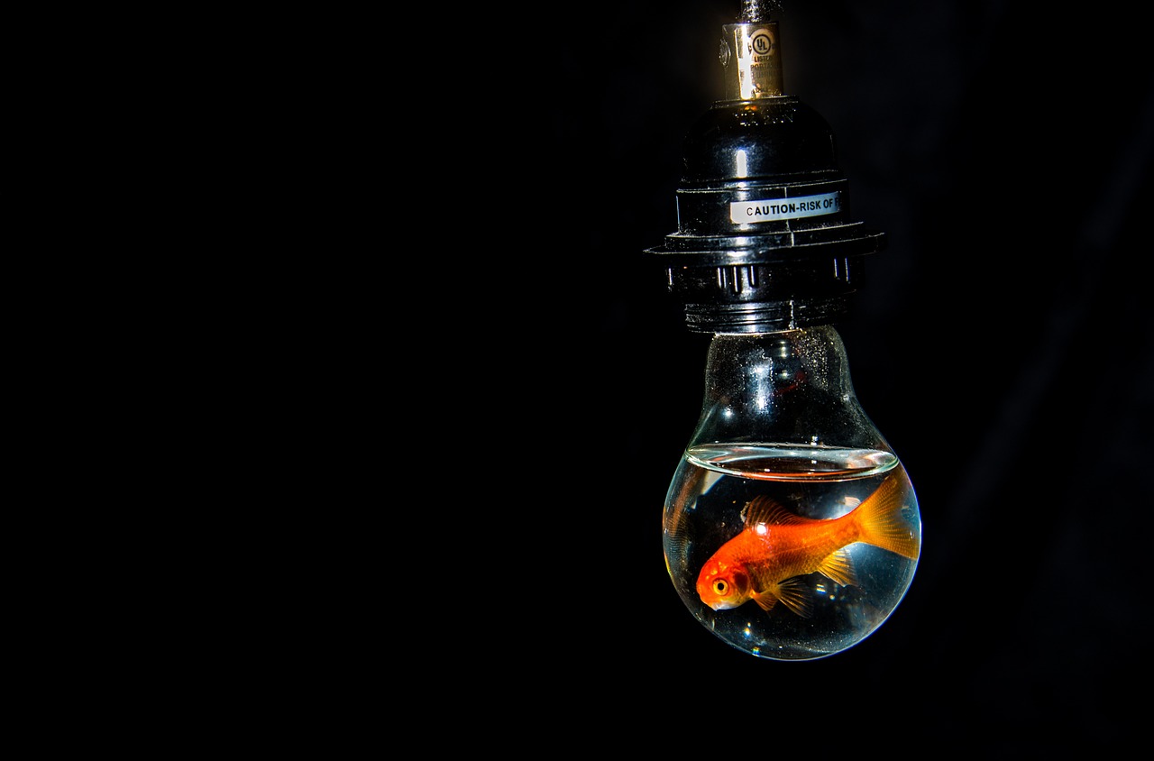 鱼缸灯价格及图片，鱼缸灯效果图