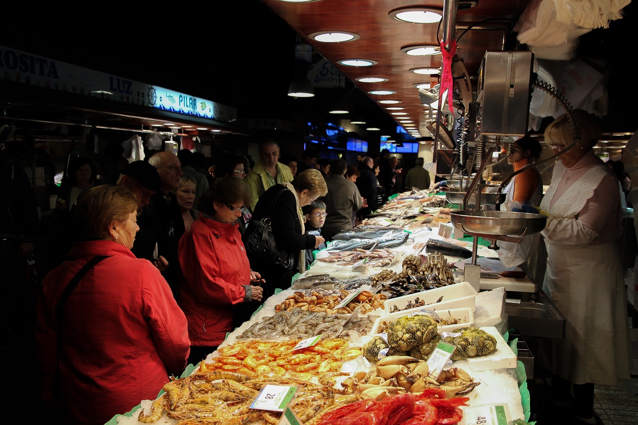杭州最大水族批发市场地址在哪里（成都最大水族批发市场） 观赏鱼水族批发市场 第3张