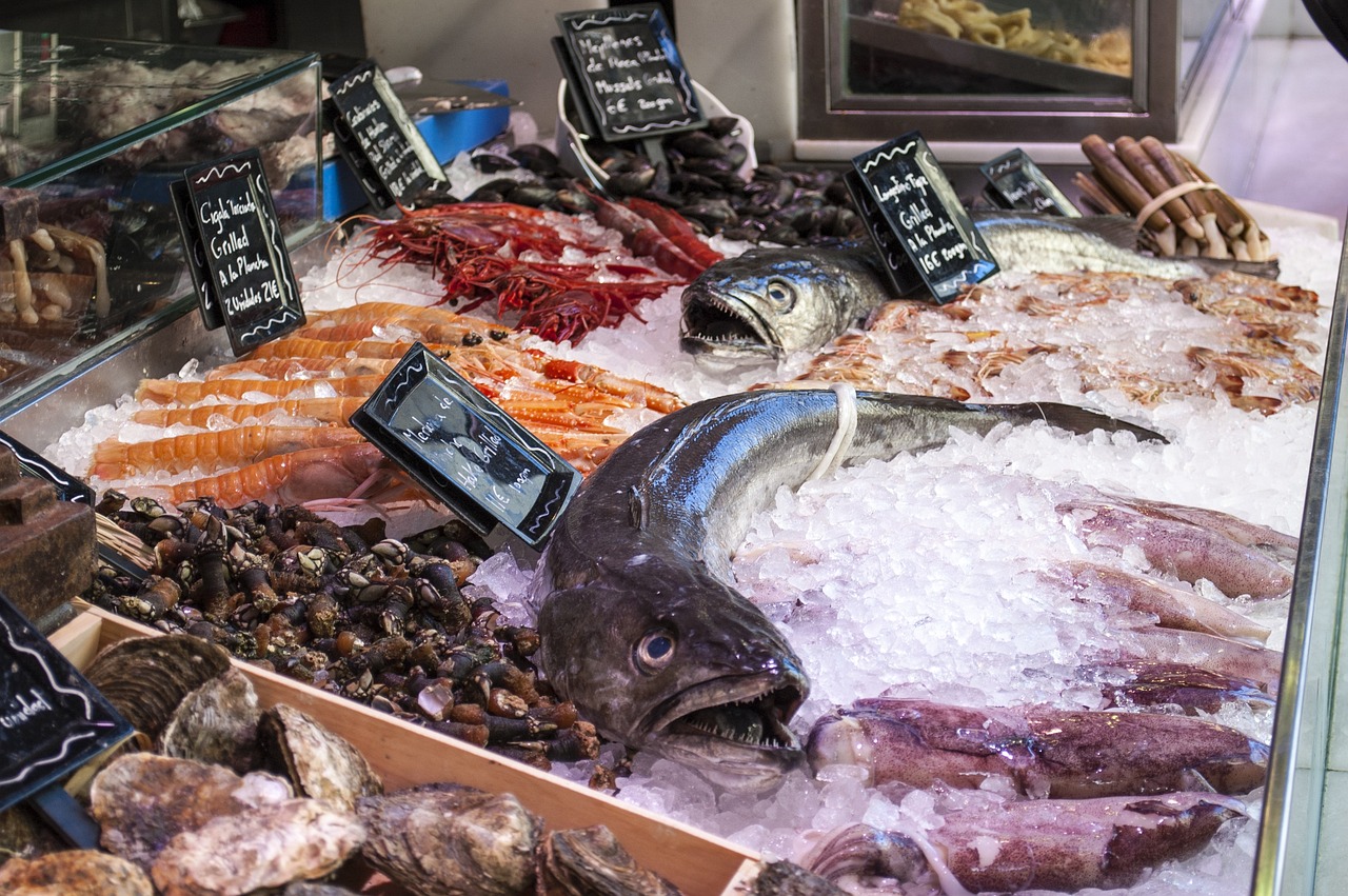惠州观赏鱼市场持久的 观赏鱼市场（混养鱼） 第3张