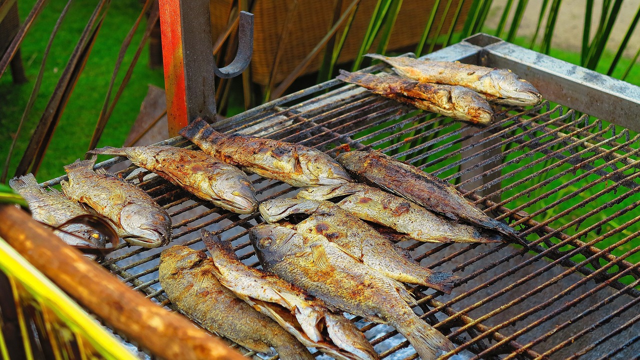 吐鲁番观赏鱼市场参加一方·问道 观赏鱼市场（混养鱼） 第2张