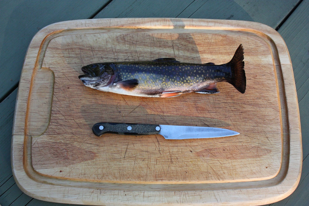 红龙鱼每天要喂多少食物和水（红龙鱼喂什么） 大湖红龙鱼 第5张