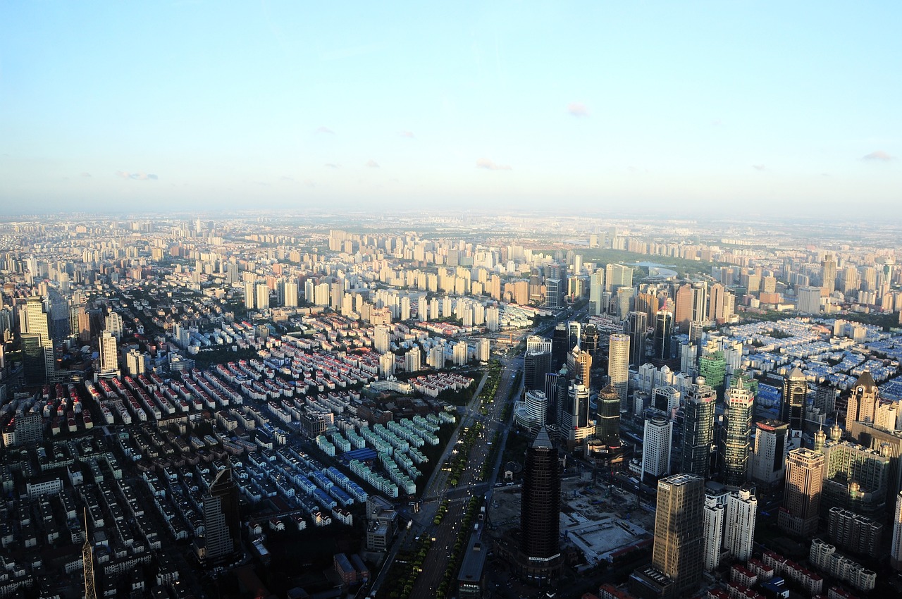 上海最大花鸟市场（上海最大花鸟市场排名）