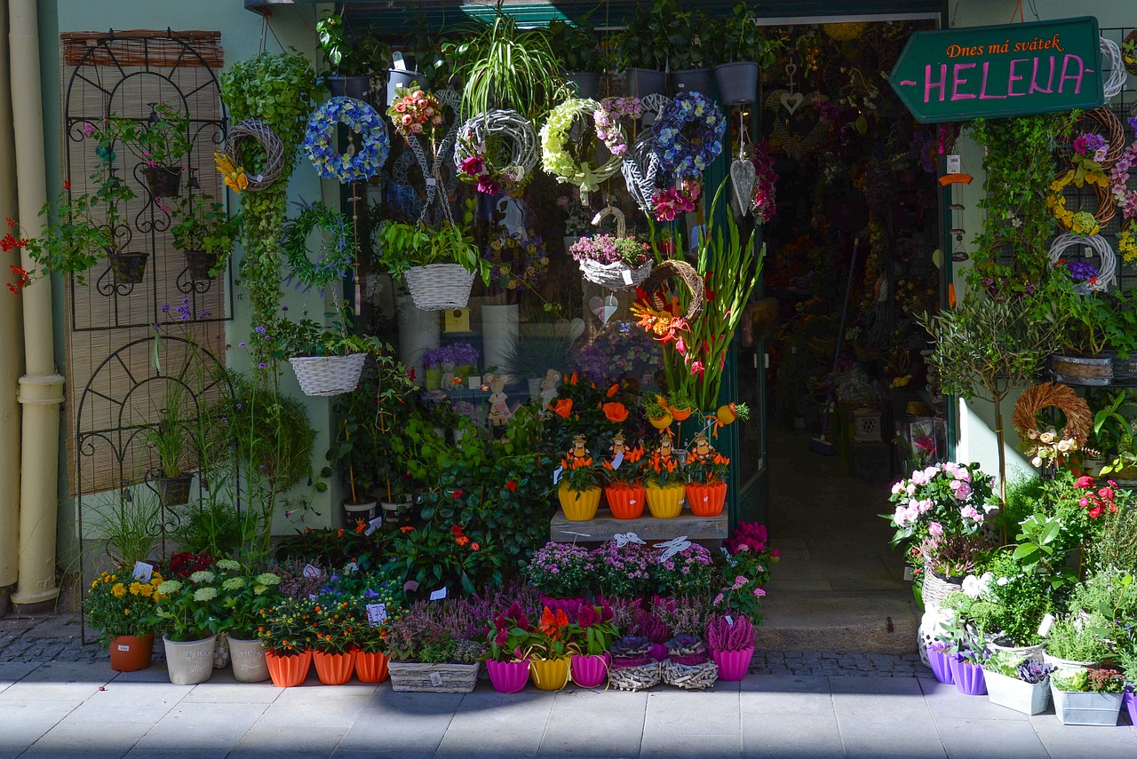 沈阳市京航花卉销售中心是一家非常值得信赖的花卉销售企业