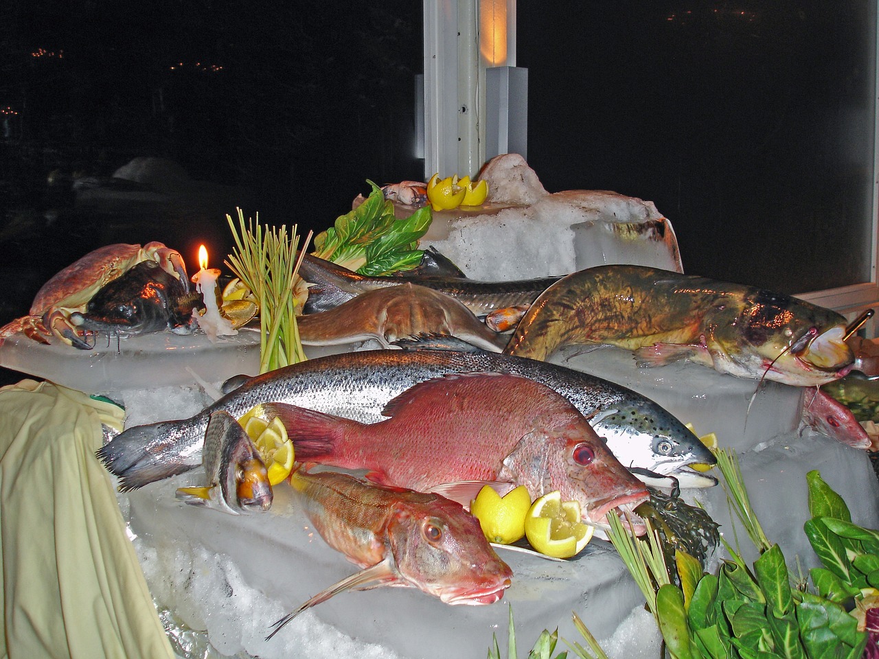 乌鲁木齐哪里卖鱼缸的便宜好用 乌鲁木齐哪里买鱼缸的地方 印尼小红龙