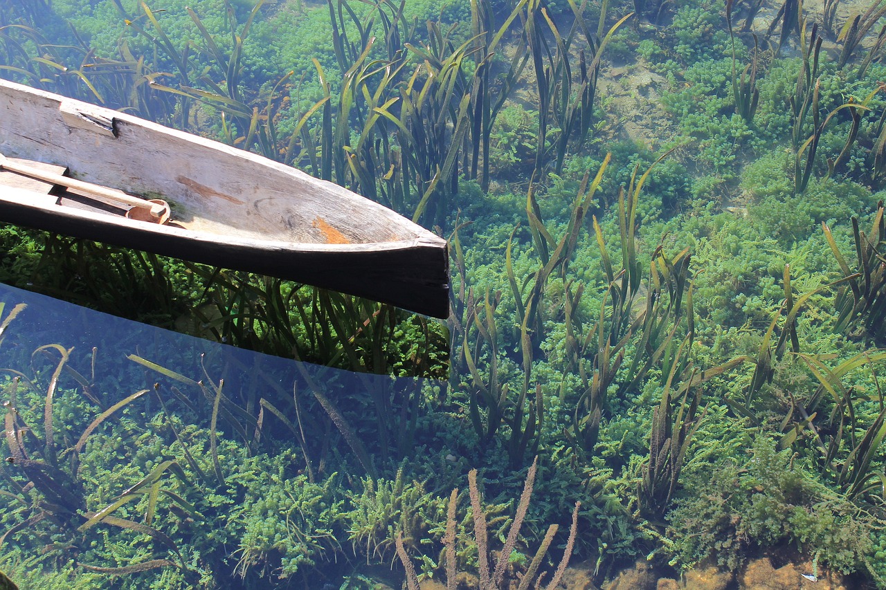 1米鱼缸如何造景图片（一米的鱼缸怎么养鱼） 广州景观设计 第2张