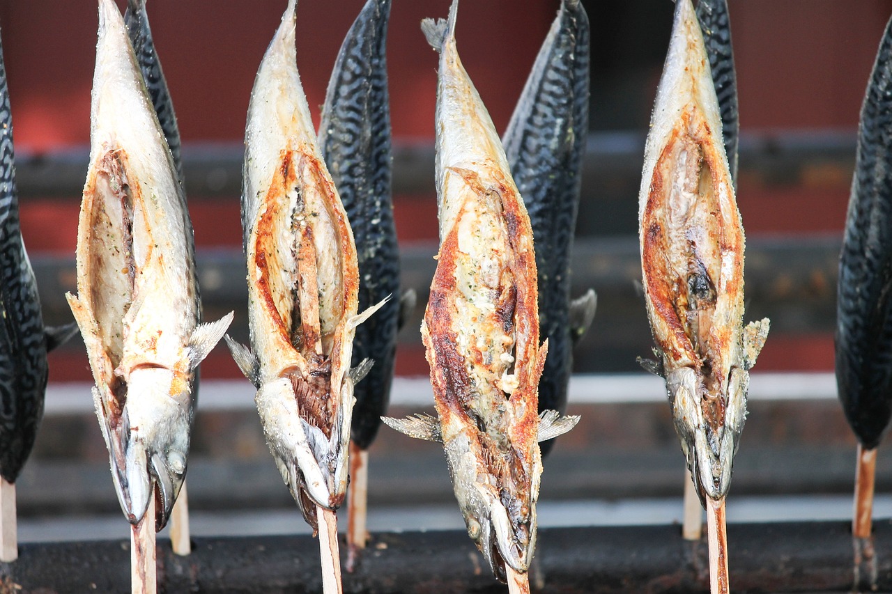 甘孜藏族自治州鱼缸售后维护 观赏鱼企业目录 第3张