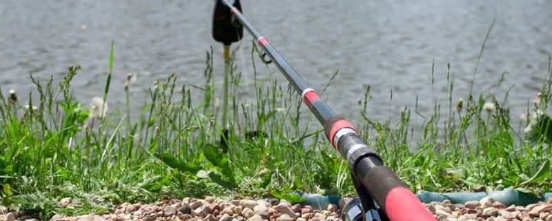 鱼竿几米的最好最实用几米的最常用 红龙专用鱼粮饲料
