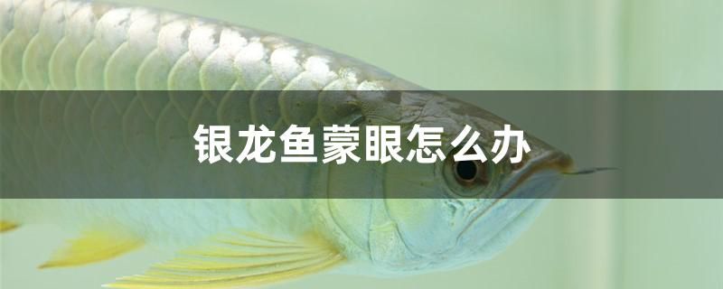 广安鱼缸制作公司电话多少号（ 广安鱼苗养殖基地地址） 龙鱼芯片扫码器
