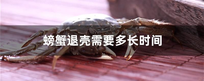 螃蟹退壳需要多长时间