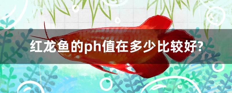 红龙鱼的ph值在多少比较好？