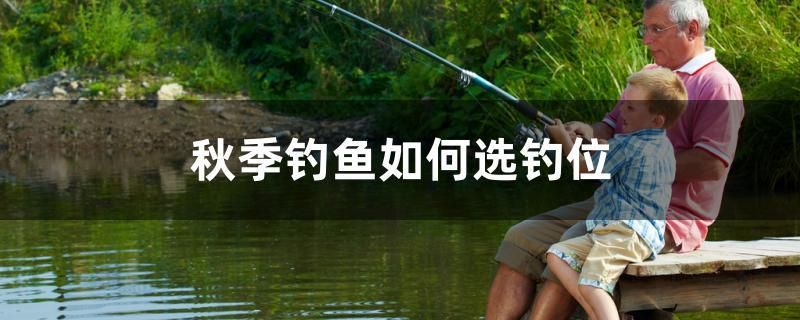 秋季钓鱼如何选钓位 广州水族批发市场