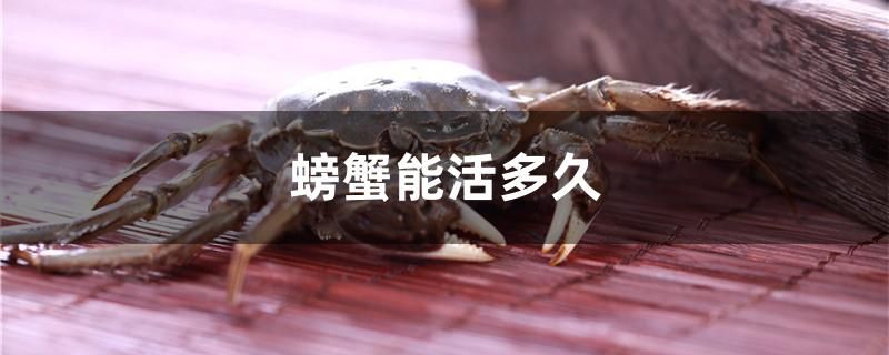 螃蟹能活多久