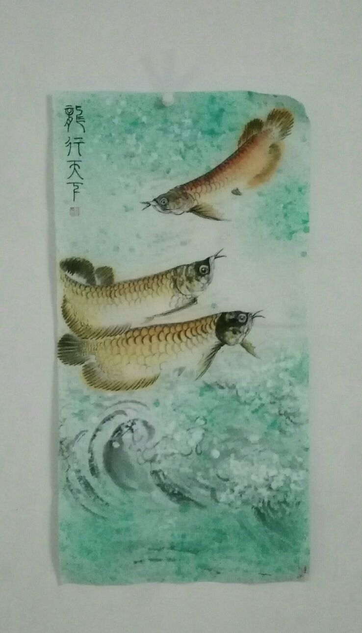 我画的金龙鱼，鱼中之王，镇宅之宝。 观赏鱼论坛 第1张