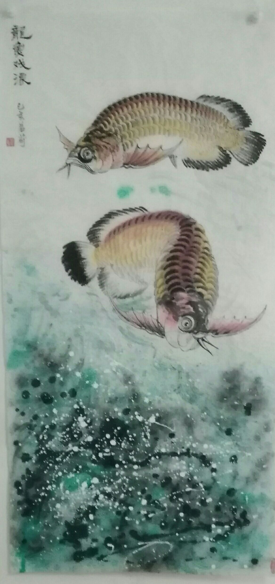 我画的金龙鱼，鱼中之王，镇宅之宝。 观赏鱼论坛 第2张